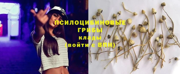 каннабис Надым