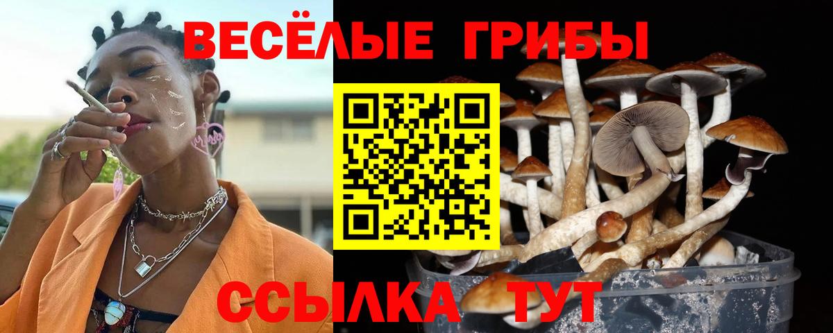 Галлюциногенные грибы Psilocybe  Вход с VPN  Набережные Челны 